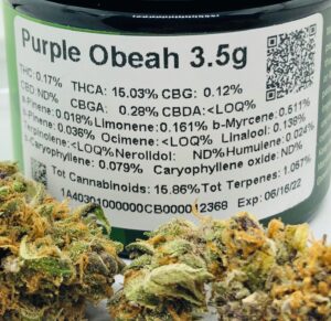 closer detail of testing label for purple obeah with buds in the foreground