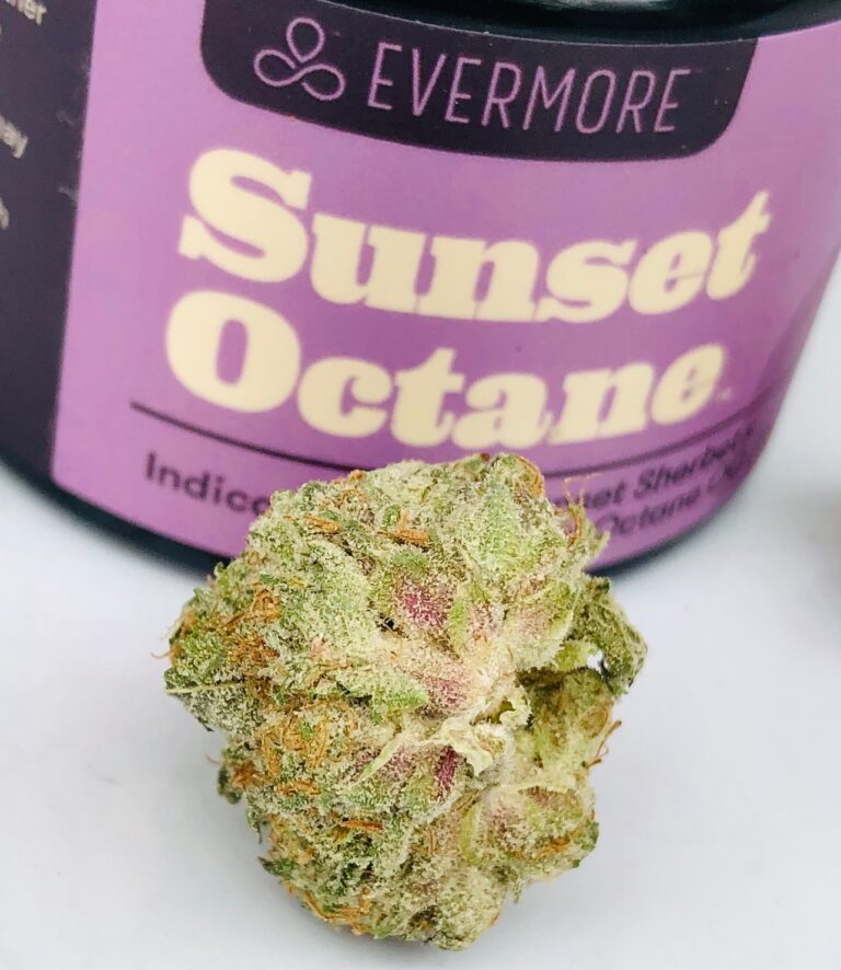 different angle of underside of sunset octane bud displaying purple leaves