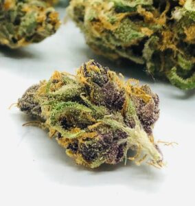 purple coloring shown on bud of purple obeah by evermore