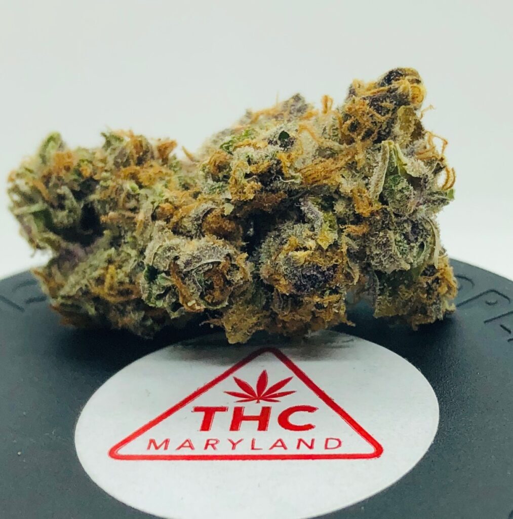 single bud of purple obeah on lid with white thc label written in red