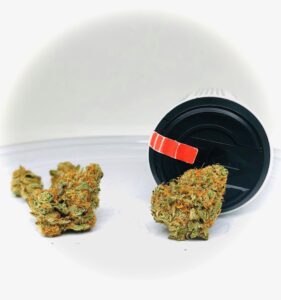 two buds of shoki x 87 limepop by curio with curio with red sativa strip on black lid