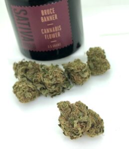 bruce banner buds with 1937 black jar in the background