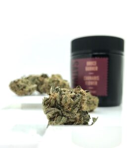 detail image of bruce banner bud with maroon 1937 jar in background