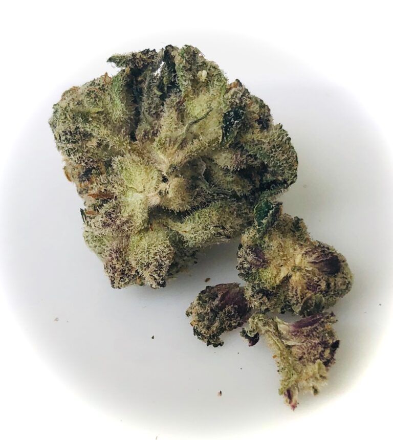 underside where purple leaves are visible on gummiez bud by strane