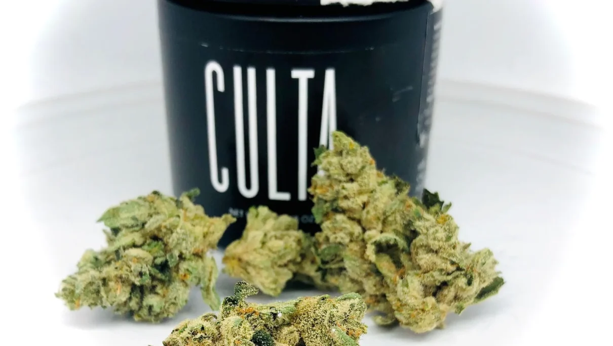 Holy Roller Culta