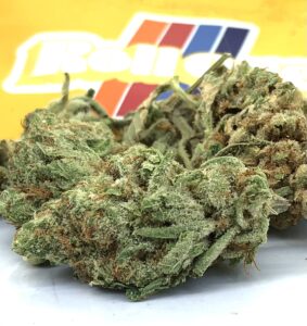 detail photograph of orange cookies cannabis strain