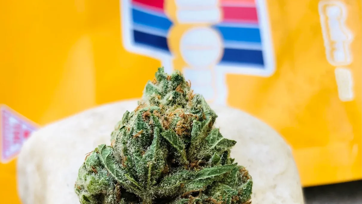 Orange Cookies RollOne