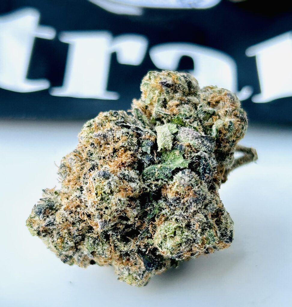 beautiful image of blue blockerz cannabis bud in front of strane ziplock