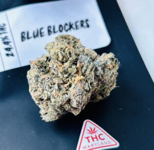 bulbous bud of blue blockerz strain